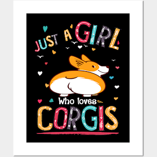 Just A Girl Who Loves Corgi (77) Posters and Art